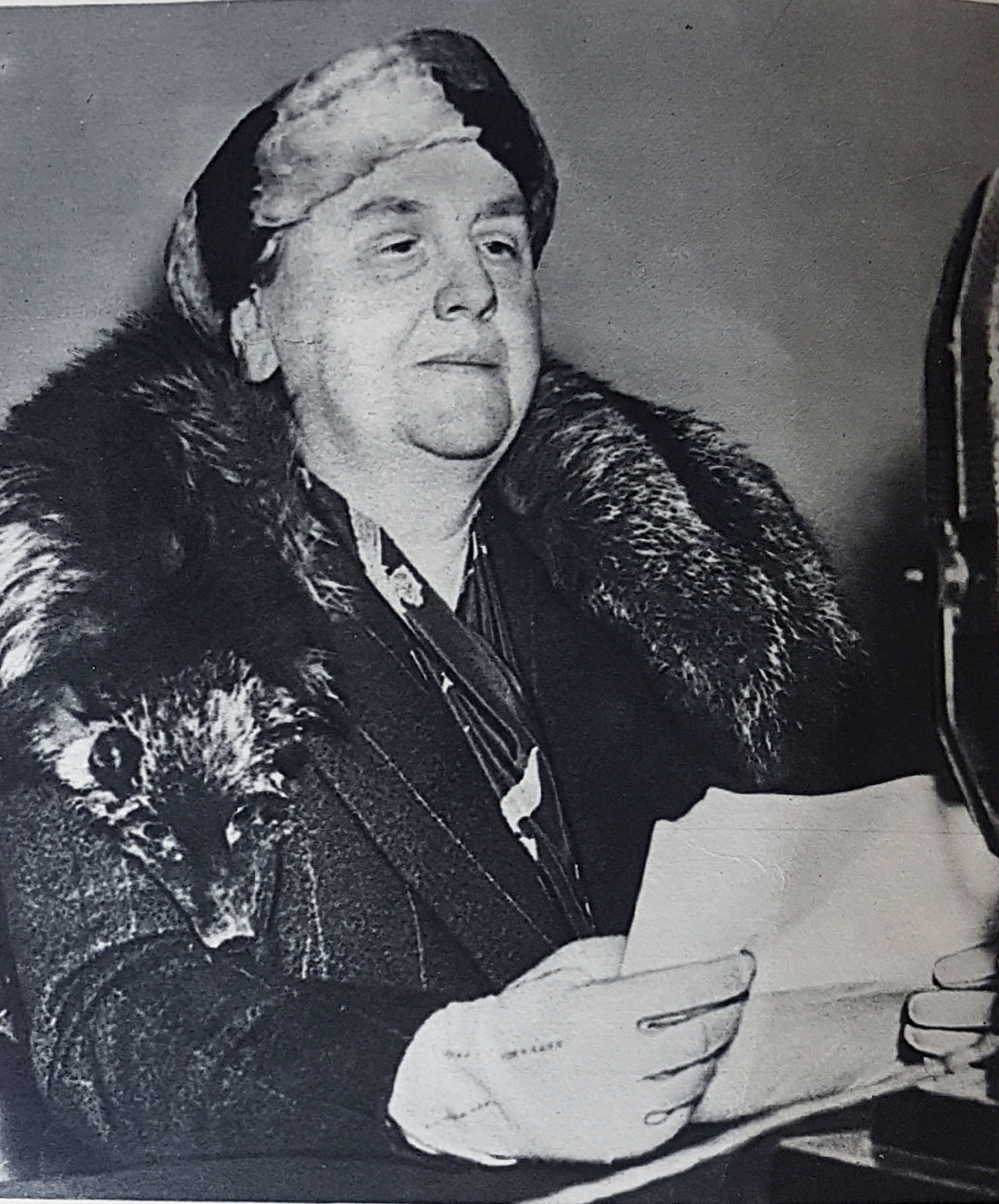 1549459396653-12692326-f425-4f37-b40f-d25e0f25db78