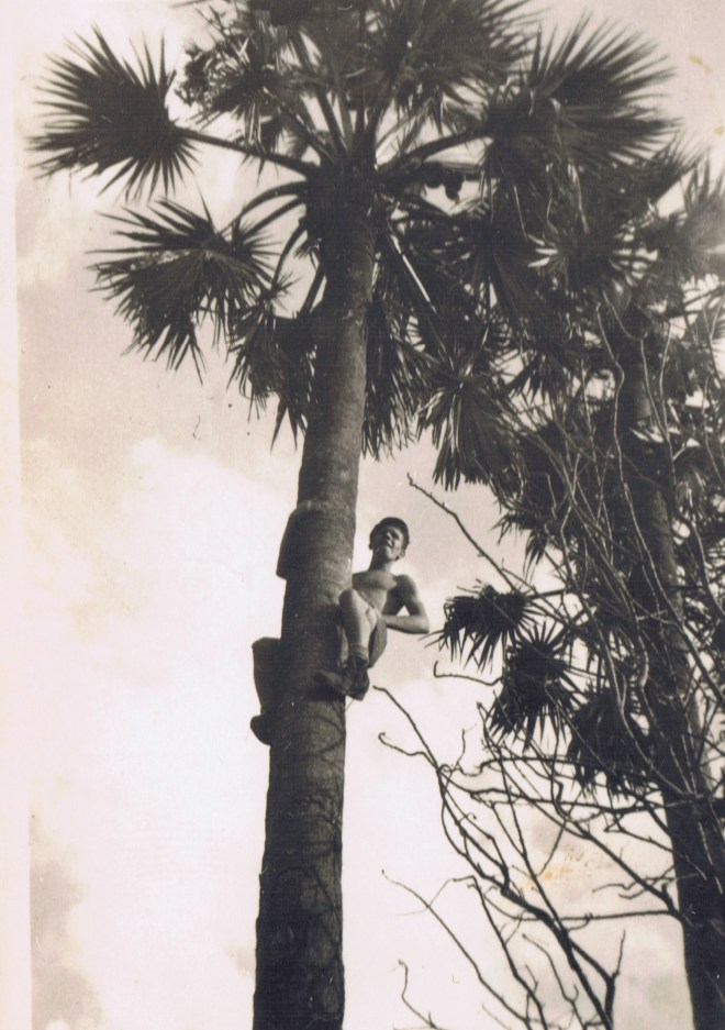 Jermee even een Cocosnoot die zal wel smaken Jan de aap 29 oktober 1946