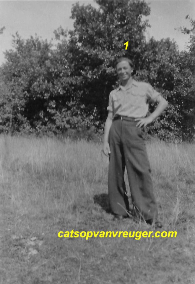 lamber engelen catsop