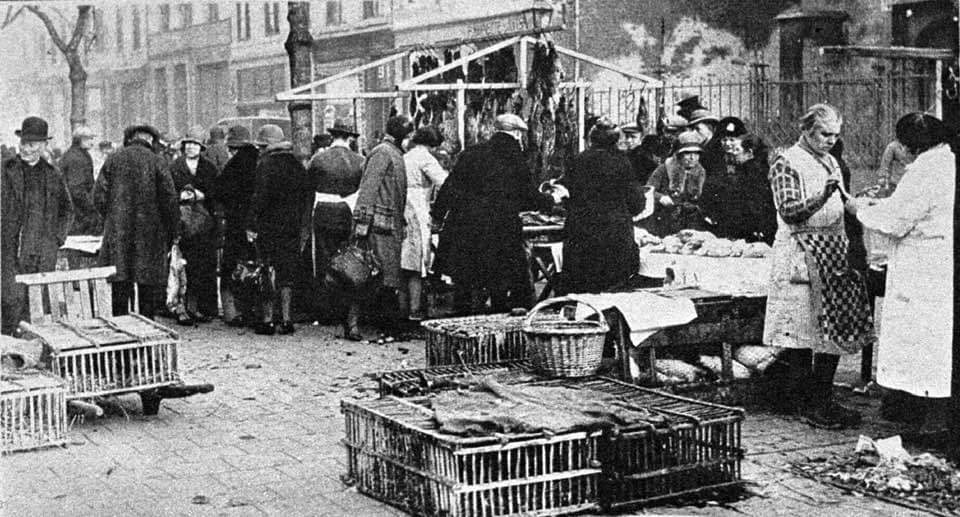 FB_IMG_1583228833720