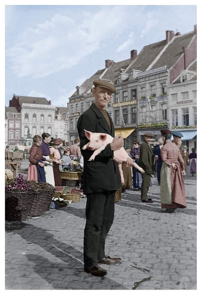 FB_IMG_1583229398883